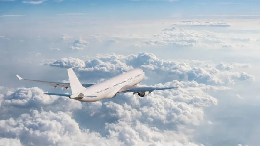 Las tarjetas de identificación REAL ID permiten verificar la identidad de los ciudadanos y son fundamentales para los controles de seguridad en los aeropuertos estadounidenses/iStock