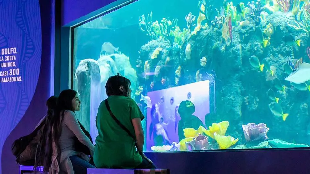 El Acuario Michin se ubica en la alcaldía Gustavo A.Madero/Facebook