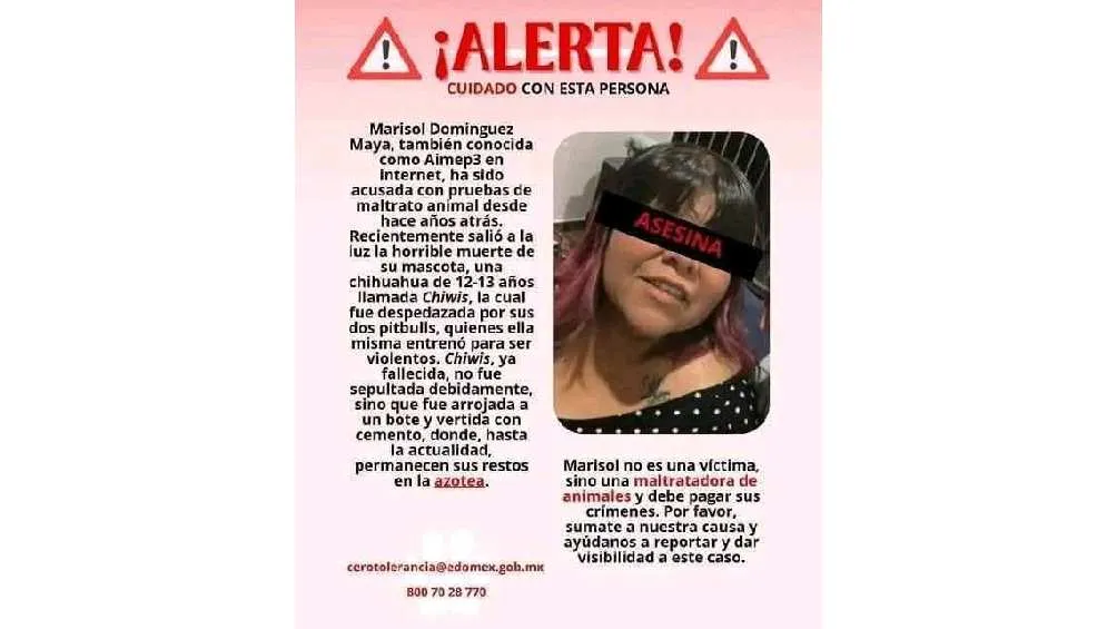 En redes circula esta acusación contra AimeP3 por supuesto maltrato animal/X