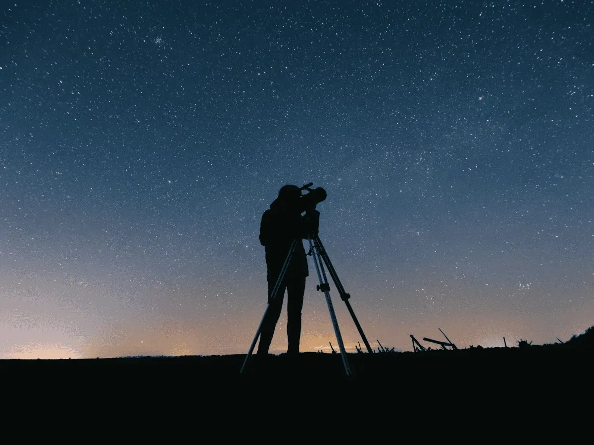 Universum CDMX / Informador