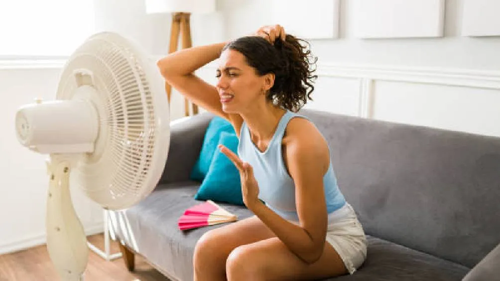 El calor provoca mayor consumo de energía en casas y negocioso/Pixabay