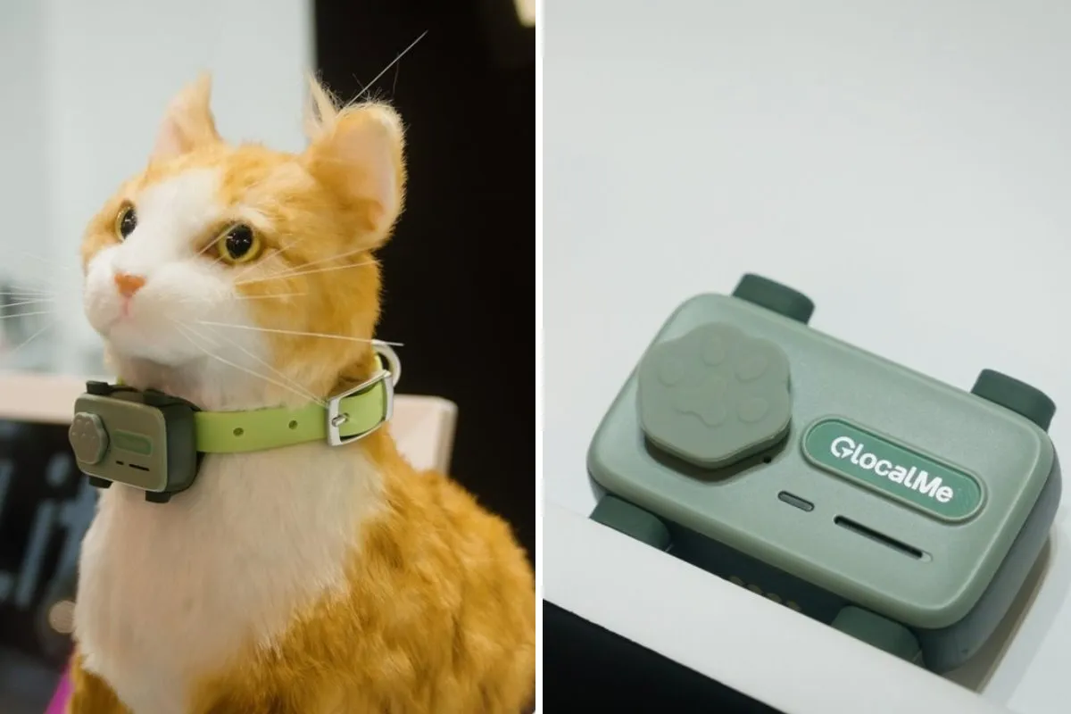 ¿Ahora podrás comunicarte con tus mascotas? / Redes Sociales