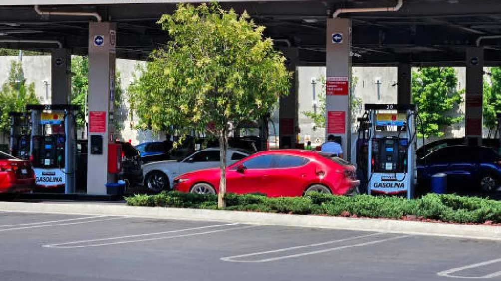 El aumento en gasolina es por el Impuesto Especial sobre Producción y Servicios./Pixabay