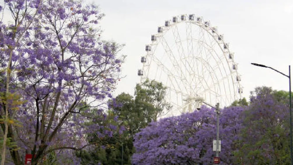 No se reportan heridos y las actividades continúan con normalidad en el parque/iStock