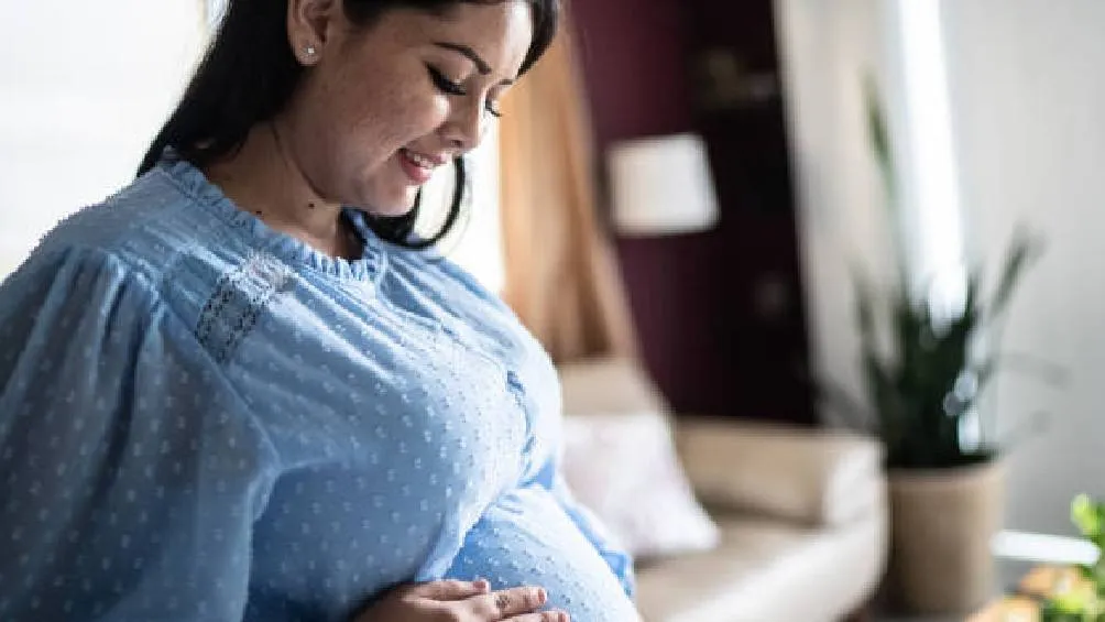 Podrían ser retomada el día lunes 5 de mayo/iStock