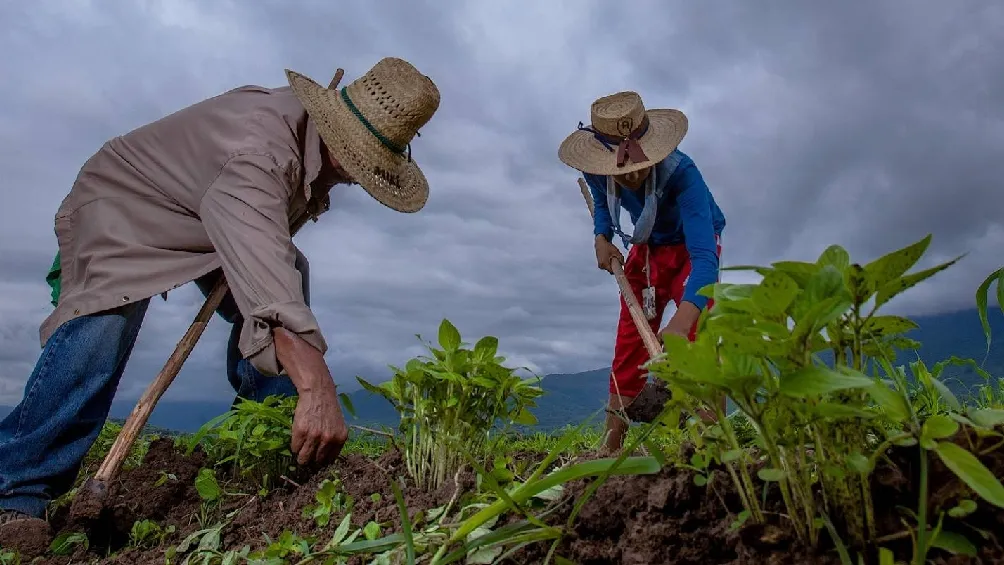Se espera que en los próximos días se dé a conocer las nuevas fechas de registro/Redes Sociales