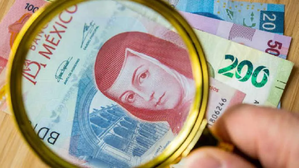 Los billetes de 100 pesos que seguirán vigentes son los que llevan a Sor Juana Inés de la Cruz/Pixabay