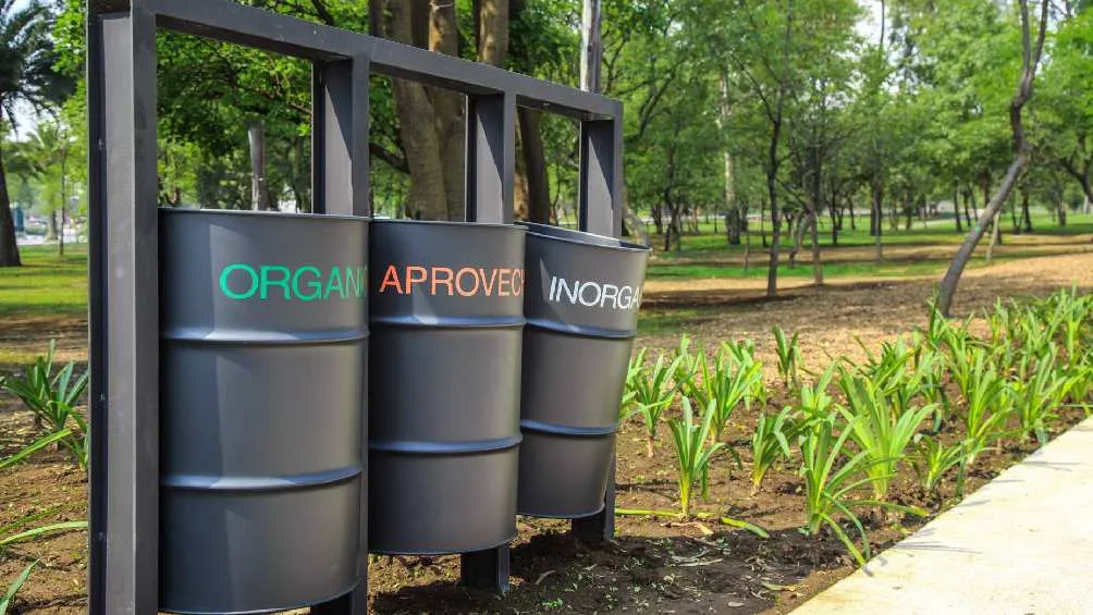 Los residuos del bosque se recogerán por días y deshechos/Pixabay