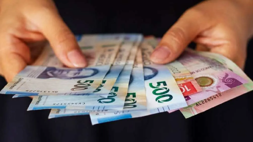 Dependiendo el tipo de beca es el monto que recibe el estudiante/Pixabay