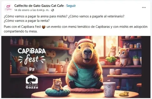 Catfecito tendrá su evento en apoyo a los michis / Redes Sociales