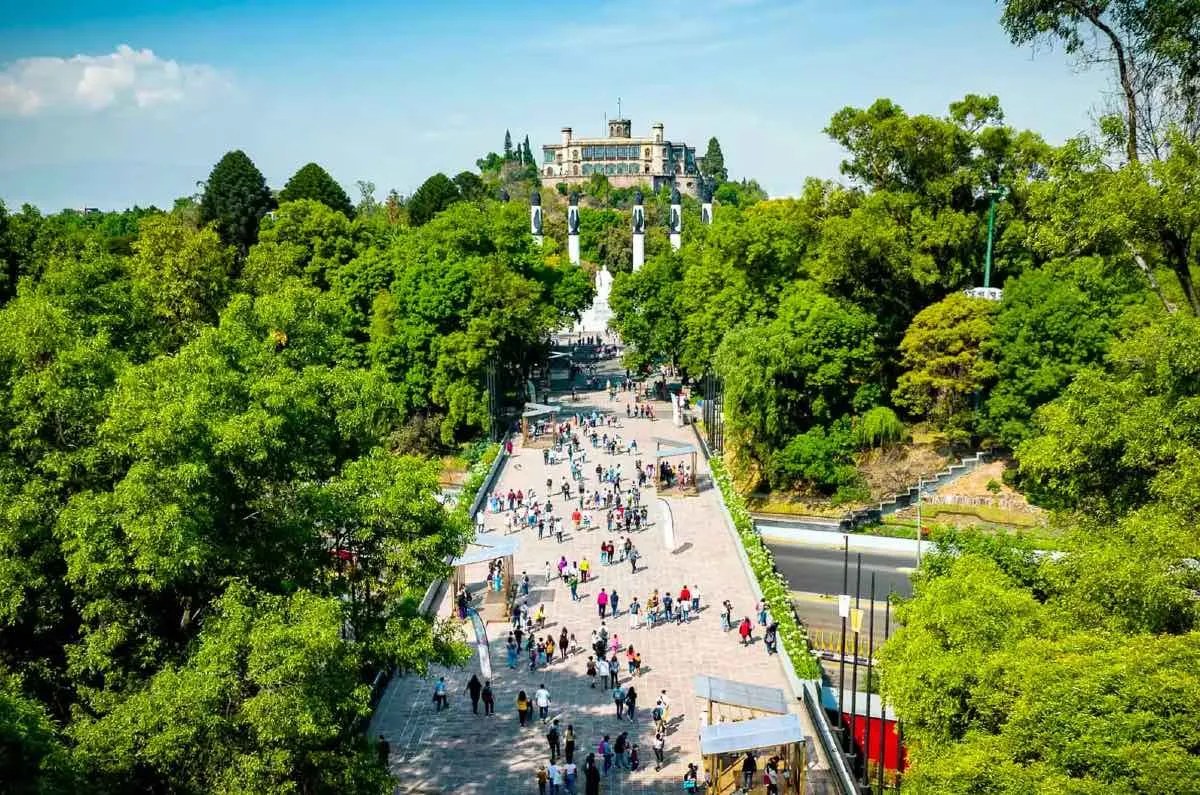 Bosque de Chapultepec 2025 / MXC