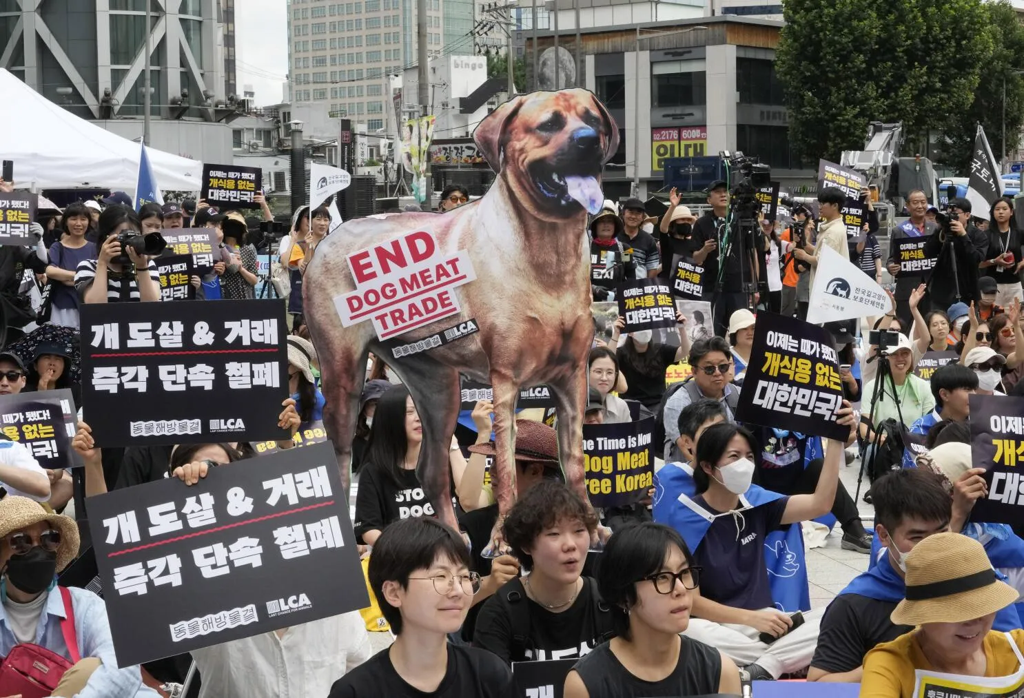 Corea del Sur prohíbe consumo de carne de perro / Los Angeles Times