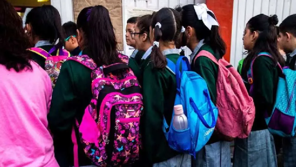 Fátima cayó desde varios metros sufriendo fractura de cadera y pelvis/Pixabay