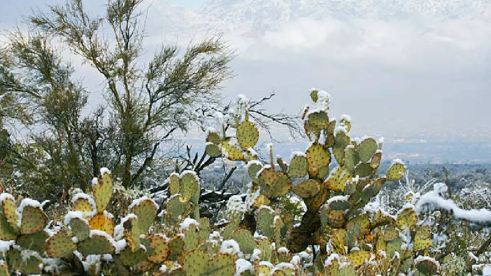 En algunos podría haber hasta caída de nieve/Pixabay