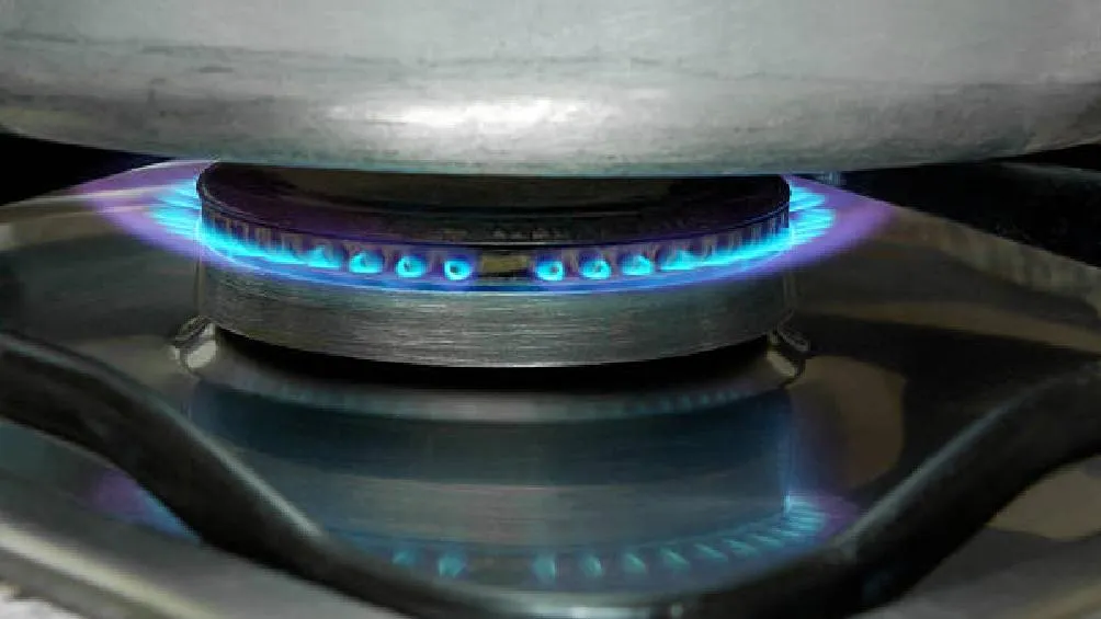 Se especula que más 20 estados de la república podrían verse afectados, ya que con este paro, miles de mexicanos se quedarían sin gas para bañarse, cocinar y realizar actividades primarias de la vida cotidiana/iStock