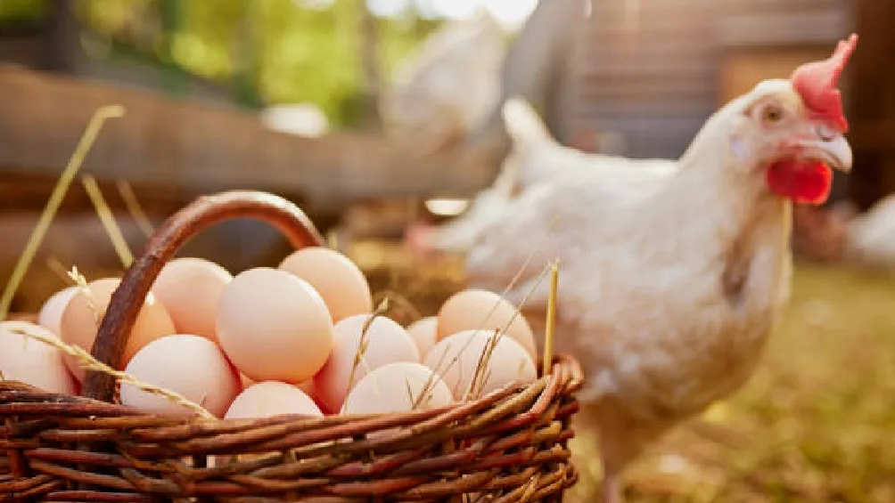 Esta postura no se basa en evidencia científica, sino en la fe y en los relatos sagrados, como los del Génesis en la Biblia/iStock