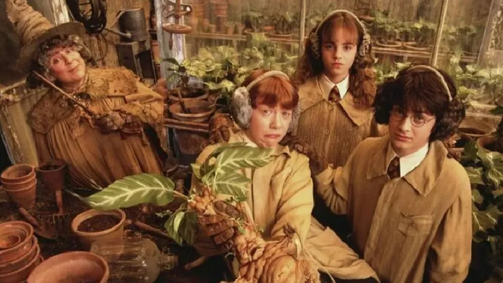 Esta actriz de Harry Potter confesó que le queda poco tiempo de vida/X