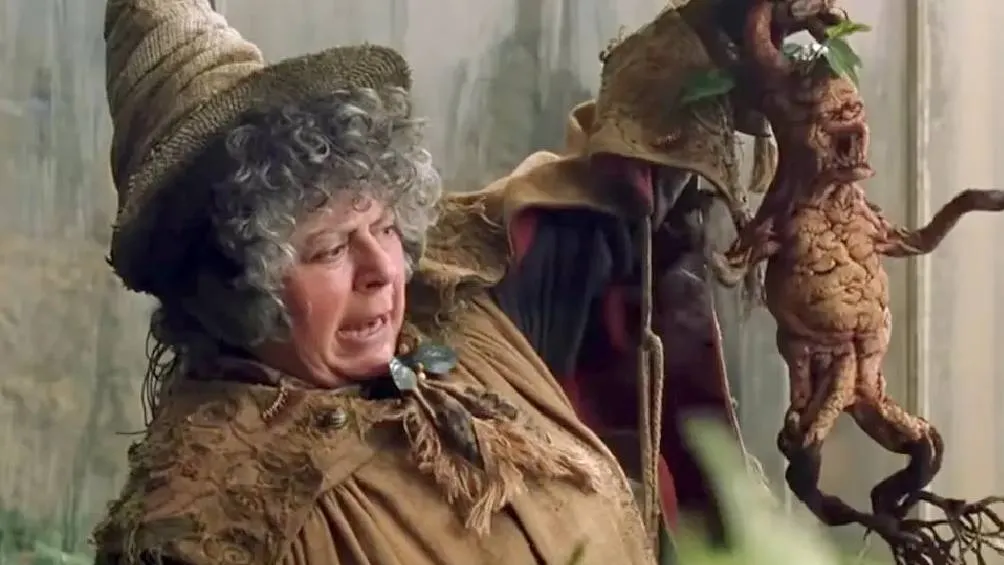 Se trata de la profesora Pomona Sprout, quien sufre varios problemas de salud/X