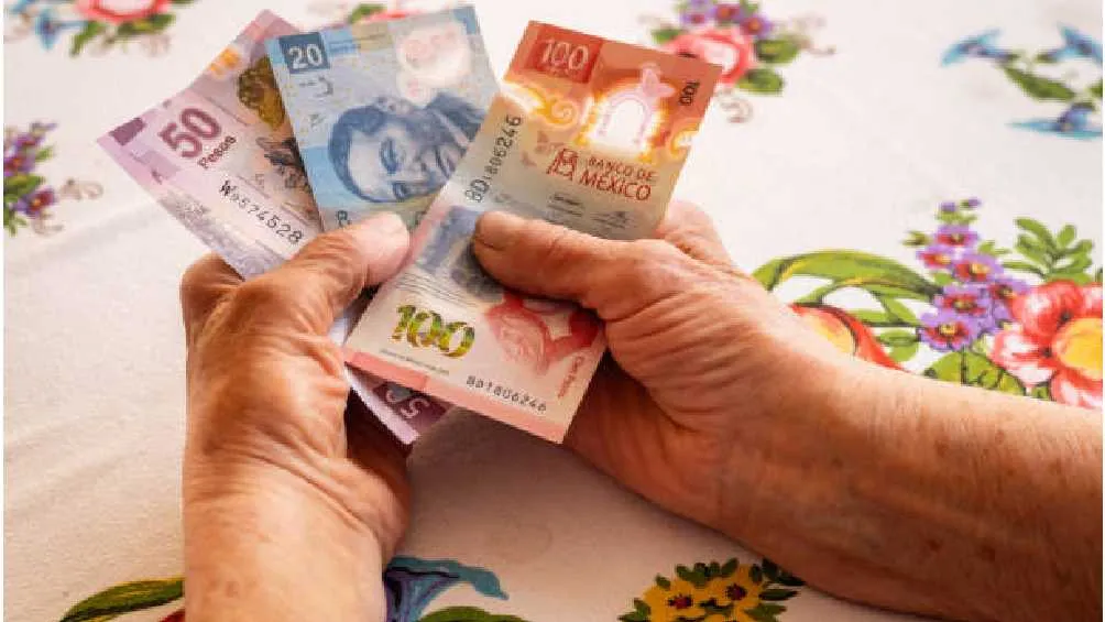 El apoyo que se entregará da un total de 18 mil peso al año/Secretaría del Bienestar