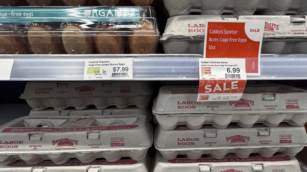 Se alcanzó un nuevo precio histórico del huevo en Estados Unidos/AP