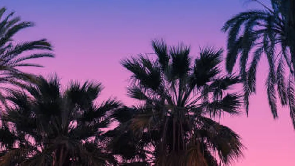 Deberás realizar esto mediante plataformas y aplicaciones especiales/iStock