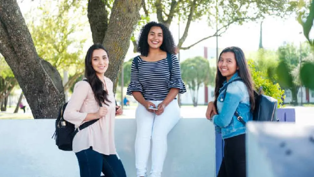 Se recomiendo revisar el perfil SUBES para saber el estatus de tu solicitud/Pixabay