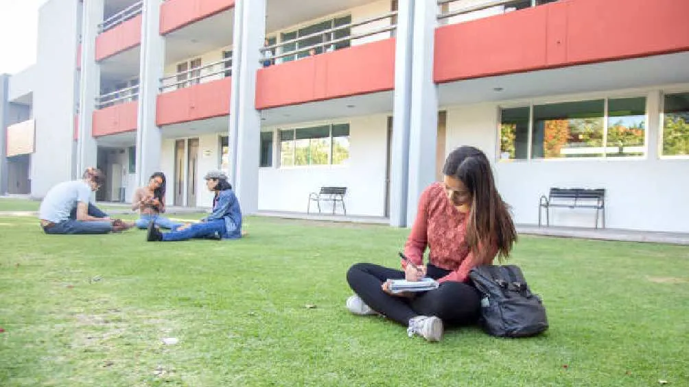 El monto que entrega este apoyo es de 5 mil 800 pesos bimestrales/Pixabay