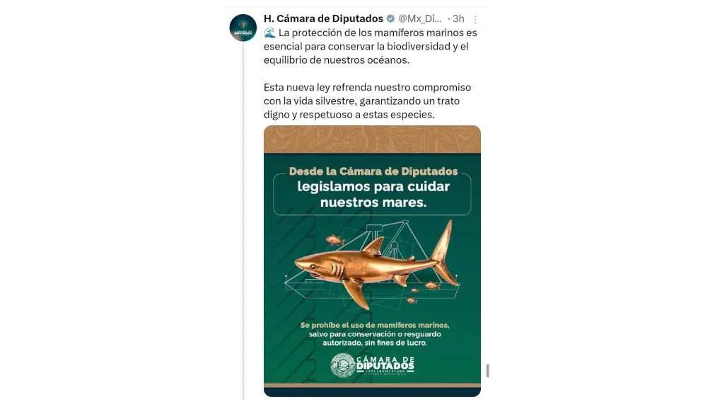 Esta fue la publicación que salió de la cuenta de la Cámara de Diputados/X