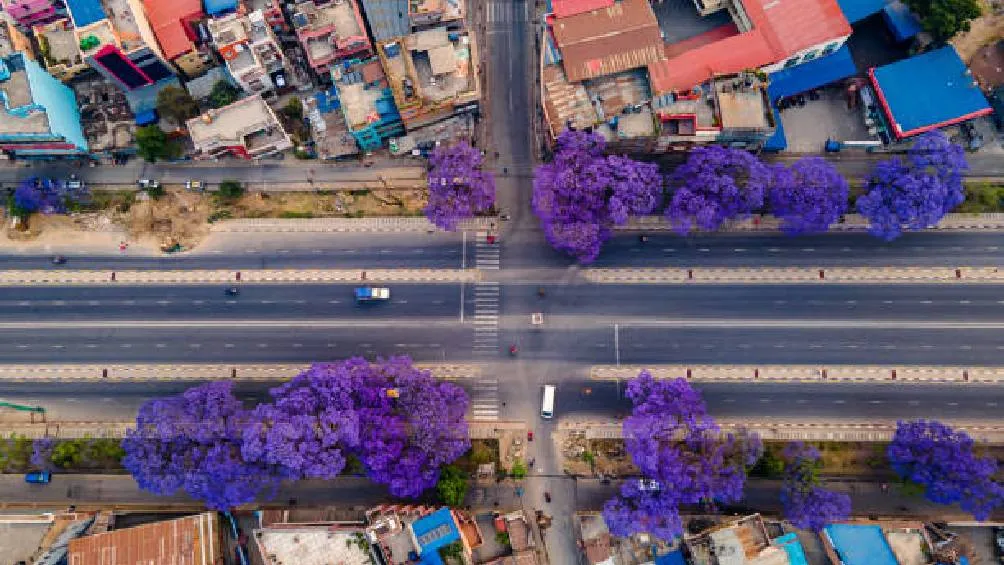El Gobierno de la Ciudad de México, encabezado por Clara Brugada, y el Estado de México, bajo las órdenes de Delfina Gómez, han planeado durante los últimos meses expandir la Línea 7 del Metrobús/iStock