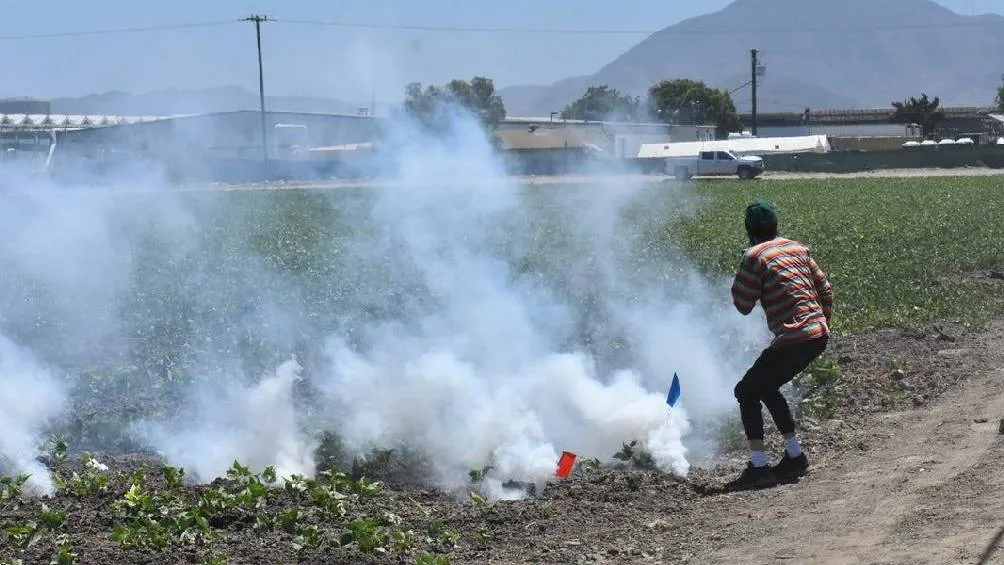 El pasado 10 de junio hubo un enfrentamiento entre agentes y migrantes de una granja/X