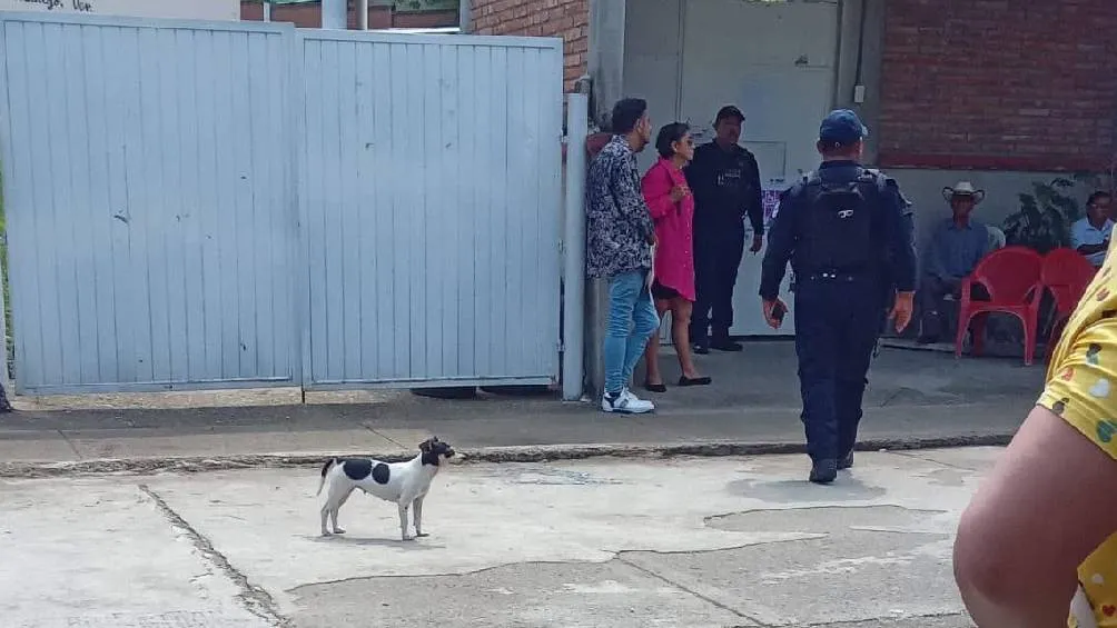 El triste hecho sucedió en una primaria de Poza Rica, Veracruz/X