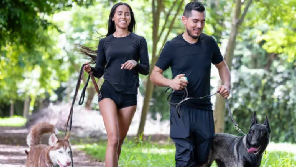 La sanción dependerá de la gravedad de daños que sufra la víctima/Pixabay