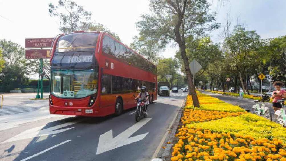 Metro, Metrobús y otros son los que aceptarán esta nueva tarjeta gratuita/Pixabay