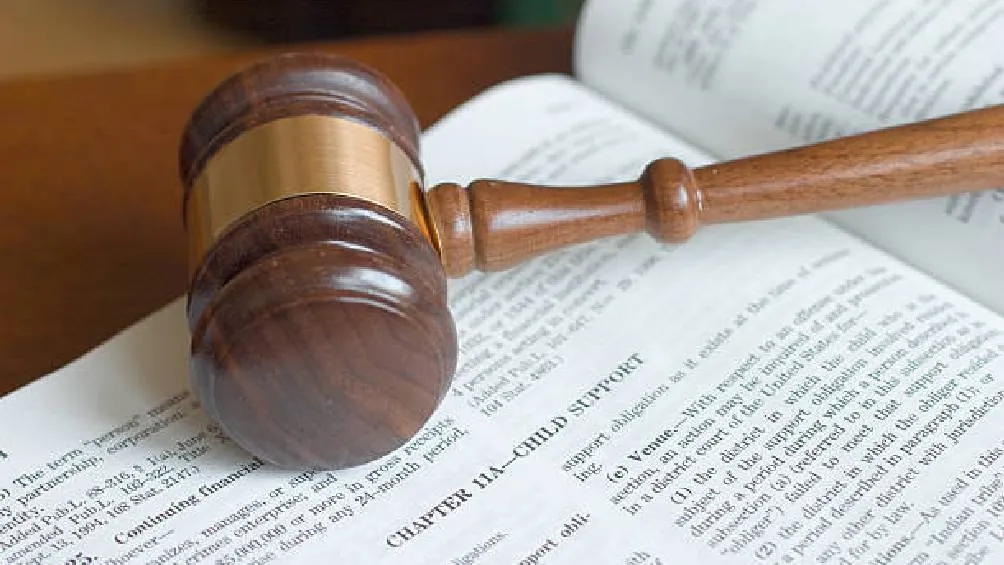 La medida busca equilibrar la balanza entre el derecho de los menores a recibir alimentos y la obligación legal de quienes deben otorgarlos./iStock