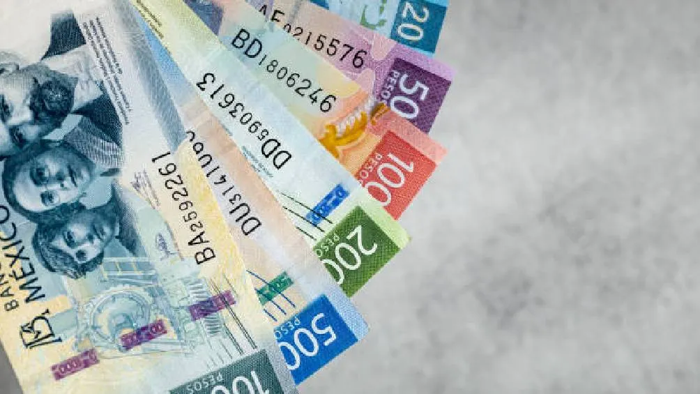 Son 6 mil 200 pesos los que se entregan a 12 millones de adultos mayores/Pixabay