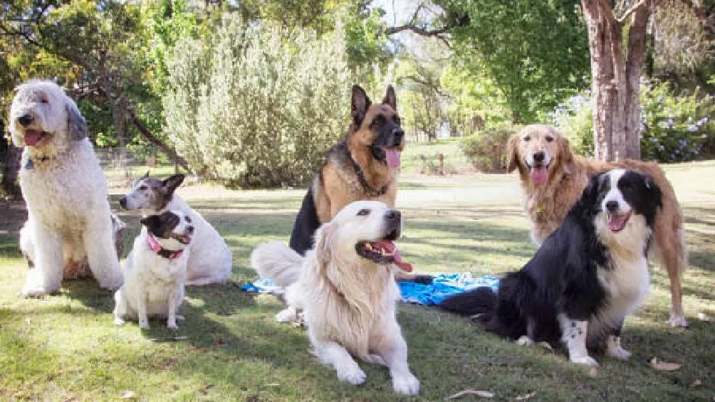 Los residentes señalan como presuntos responsables a elementos de seguridad privada que operan en el área/iStock