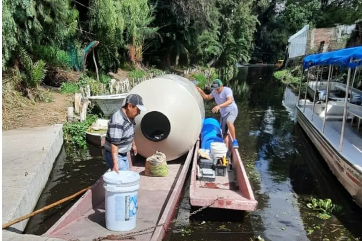 No dudes en inscribirte a este programa, revisa que documentos necesitas / Milenio