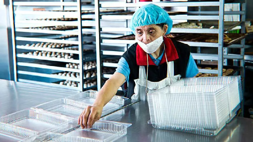 Para los trabajadores, la Ley Federal del Trabajo no establece descansos oficiales/Pixabay