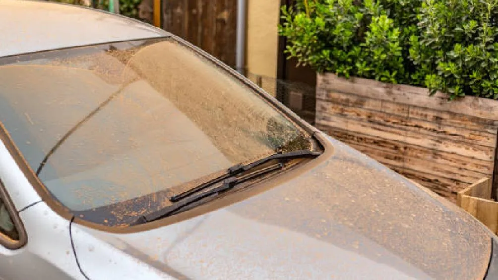 Cada año es común que una nube formada por el polvo del Sahara, haga un pequeño recorrido sobre el territorio mexicano/iStock