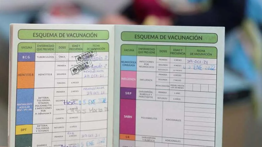 Se recomienda a la población completar su esquema de vacunación/Pixabay