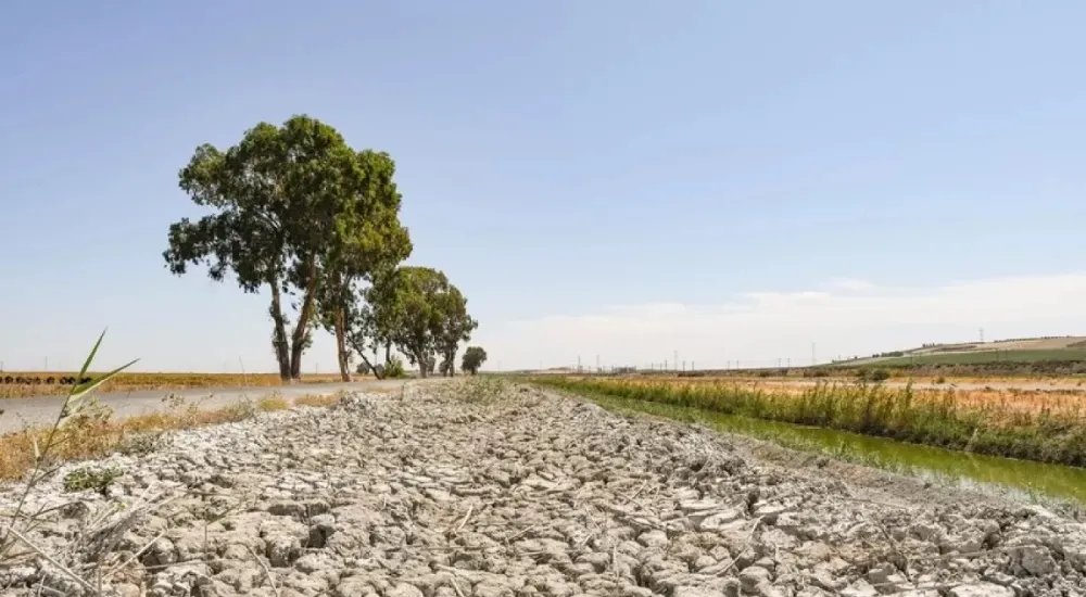 ¿Qué se espera para este mes de octubre?