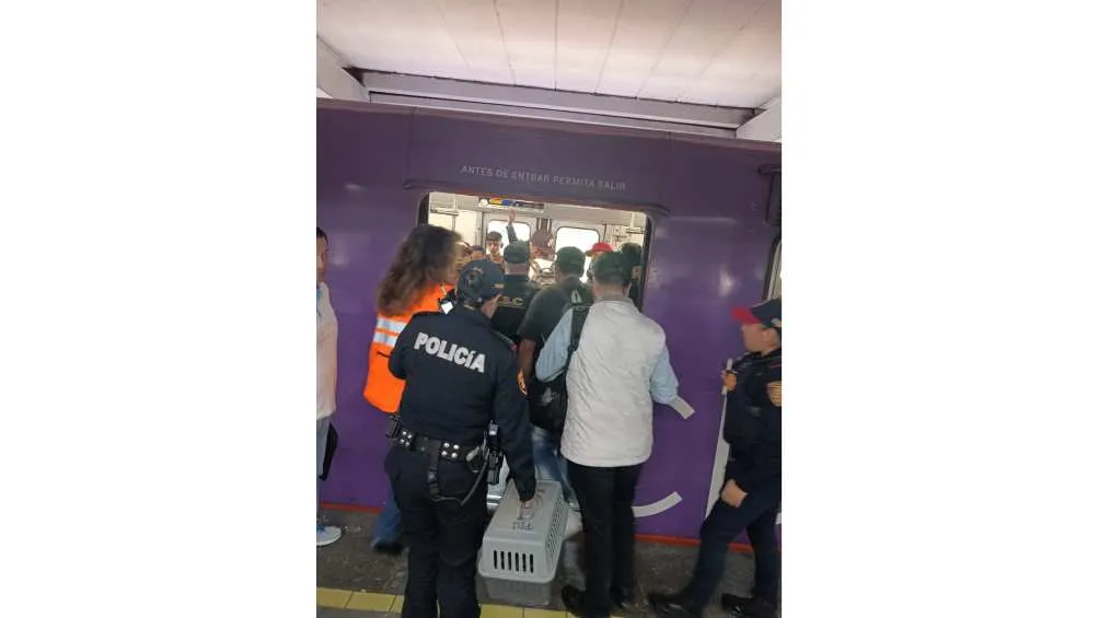 Policías trasladaron a la serpiente para su valoración/X: @RaulGtzNR