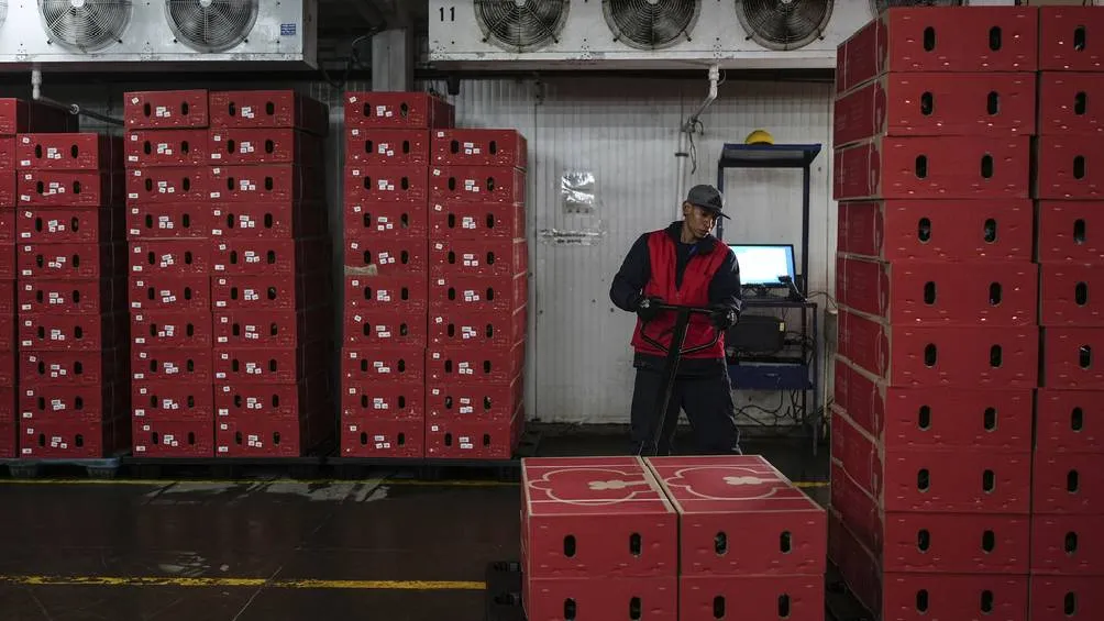 Los aranceles interpuestos por Estados Unidos quedaron pausados por un mes/AP