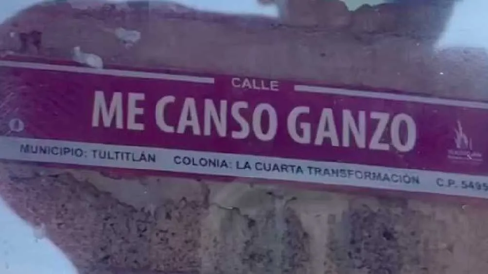 En Tultitlán hay una calle llamada &quot;Me canso ganso&quot;./X: @PacooGarcia