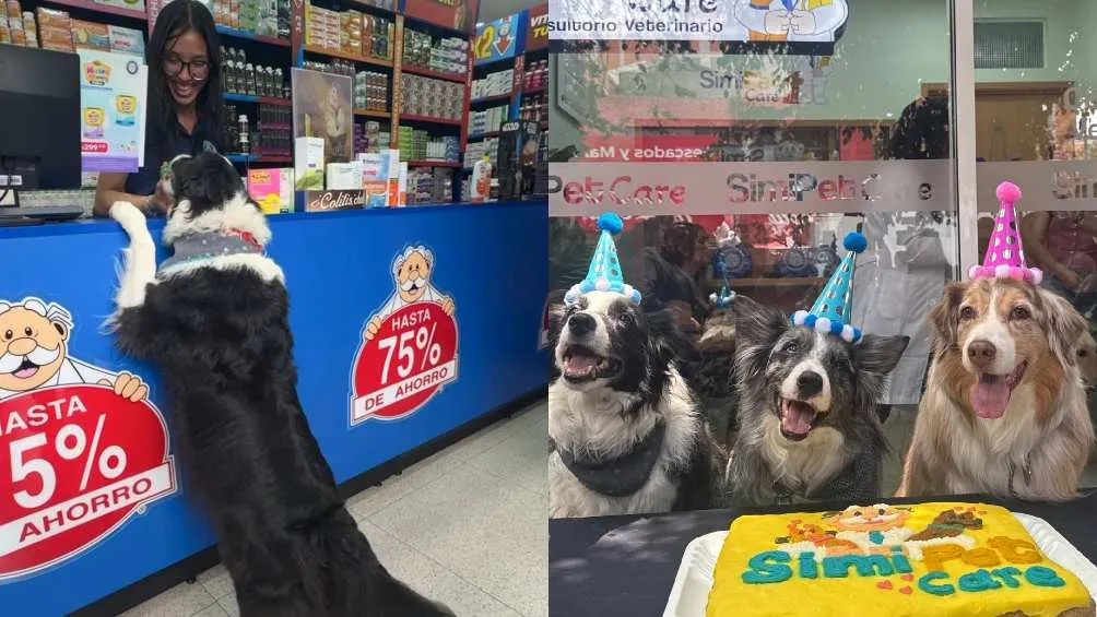 La primera veterinaria de Dr Simi se ubica en la colonia Escandón/X