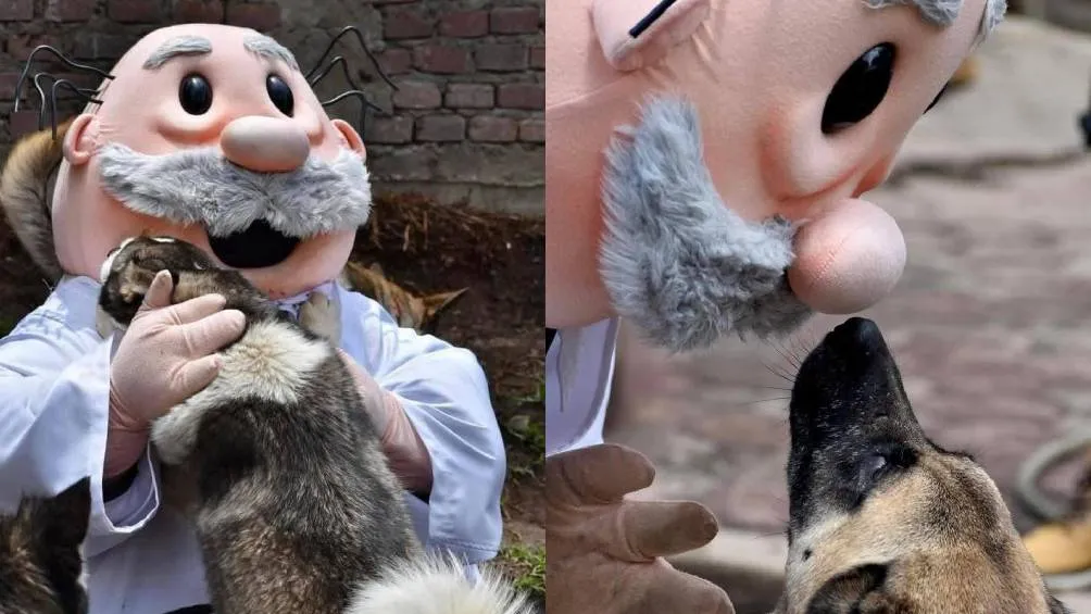 En redes aplauden el compromiso del Dr. Simi por atender a las mascotas/X