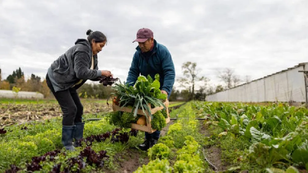Al estilo de los Juegos del Hambre, el Gobierno de los Estados Unidos, encabezado por el presidente Donald Trump, analiza la posibilidad de crear un reality show/iStock