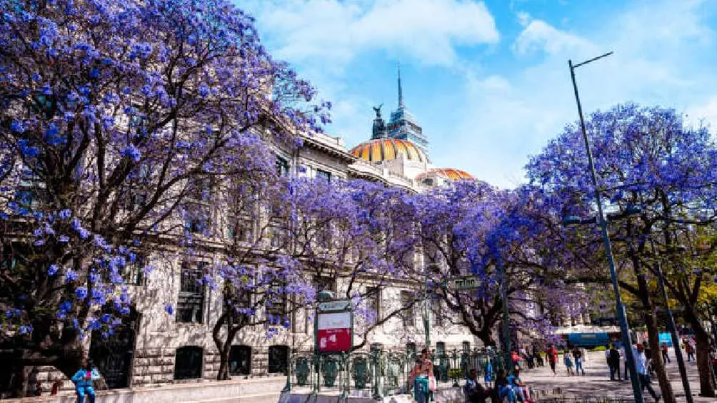 A finales de marzo es cuando se tiene programa el inicio de la temporada de calor/Pixabay