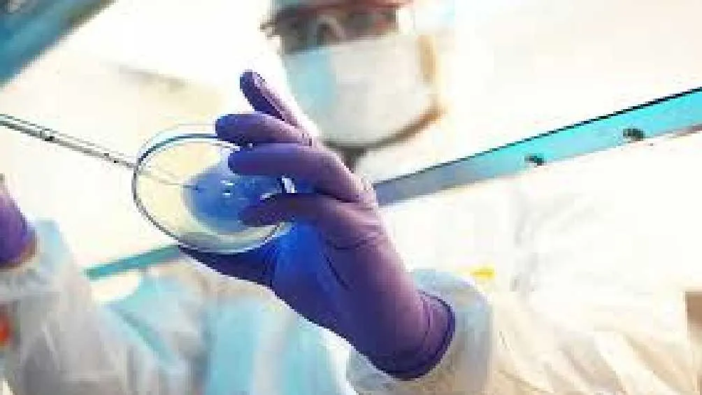 Esta enfermedad tiene una letalidad del 88%/Pixabay