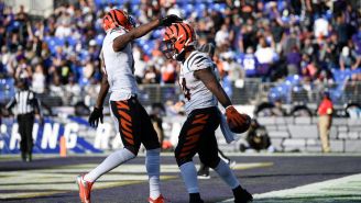 NFL: Cincinnati propinó sorpresiva paliza a Baltimore